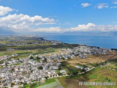 为何国内众多明星扎堆到云南旅游