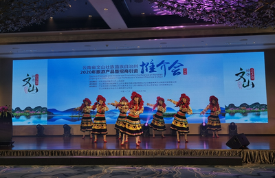 云南文山在广州推介“中医药+旅游” 以康养“接驳”大湾区