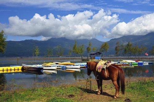 云南自由行8天最佳路线云南旅游攻略,云南旅游疫情期间怎么申请健康码