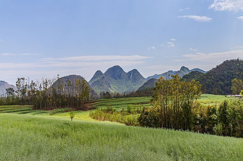 旅游记录 云南 曲靖 罗平 九龙瀑布群