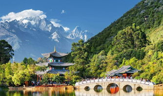 旅游业插上科技的翅膀,能否飞得更高更远