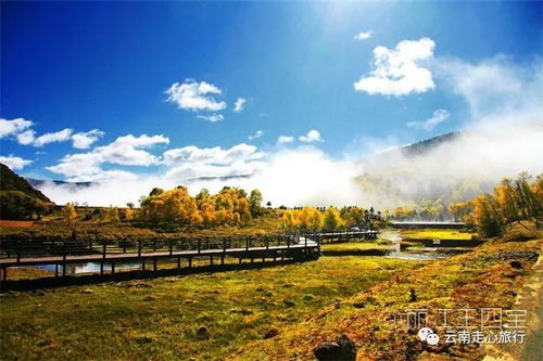 云南旅游精华景点盘点