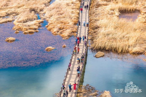 去云南旅游不知道怎么玩 这篇攻略告诉你,旅游达人带你玩转云南